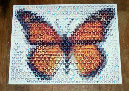 Amazing Beautiful Monarch Butterfly Montage Limited ed , Butterflies & Moths - n/a, Final Score Products
 - 1