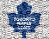 Amazing Toronto Maple Leafs NHL Hockey Montage , Hockey-NHL - n/a, Final Score Products
 - 1