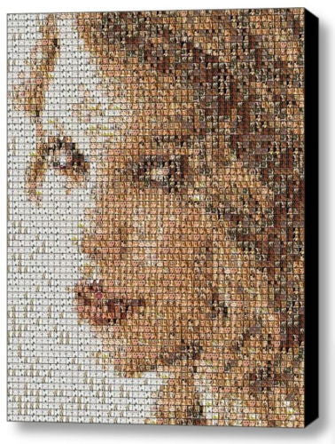 Incredible Framed Taylor Swift Mosaic 9X11 inch Limited Edition Art Print w/COA