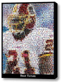 Framed Washington Redskins Sean Taylor Mosaic 9X11 Limited Edition Print w/COA , Football-NFL - n/a, Final Score Products
 - 1