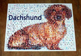 Amazing Dachshund Weener Weiner Dog Montage w/COA , Dachshund - n/a, Final Score Products
 - 1