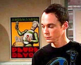 FRAMED The Big Bang Theory Sheldon Apt. Robot mini Poster PETRE DEVOS , Reproductions - n/a, Final Score Products
 - 2