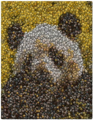 Gold Panda Bear Coins Mosaic Art Print Limited Edition , Pandas - n/a, Final Score Products
 - 1