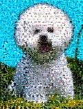 Amazing Bichon Frise Dog Montage LIMITED EDITION w/COA , Bichon Frise - n/a, Final Score Products
 - 1