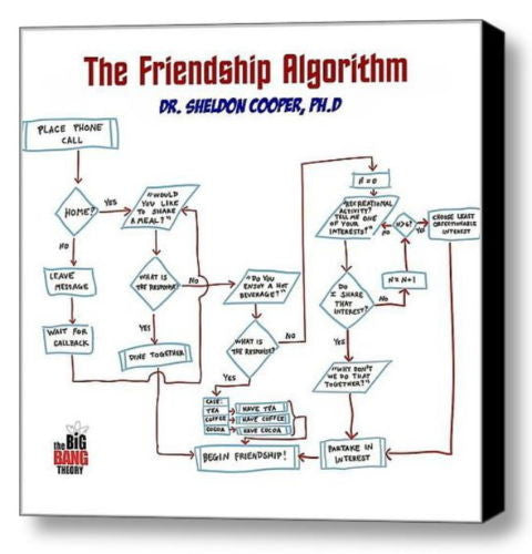 The Big Bang Theory Framed Sheldon Cooper Friendship Algorithym