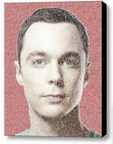 The Big Bang Theory Sheldon Cooper Quotes Mosaic INCREDIBLE Framed 9X11 LE w/COA , Other - n/a, Final Score Products
 - 1