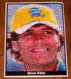 AMAZING Michael Waltrip NASCAR Montage. 1 of only 25!!! , Racing-NASCAR - n/a, Final Score Products
 - 1