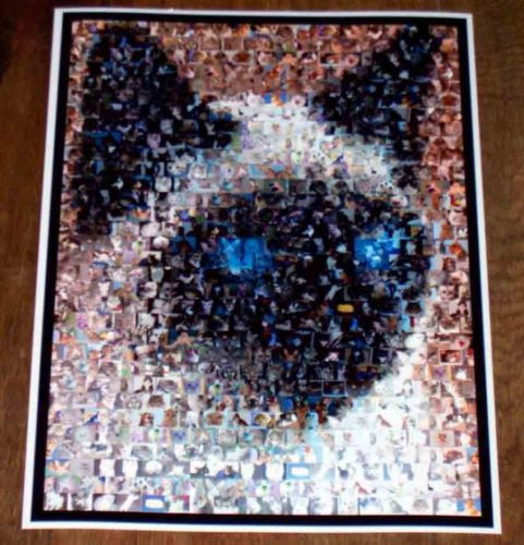 Amazng Siamese Cat Montage Limited Edtion Art Print COA