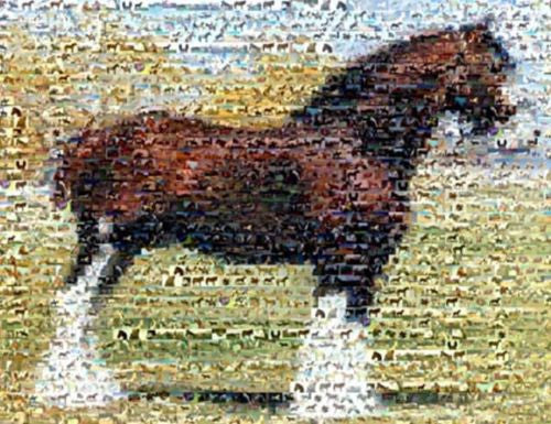 Amazing Clydesdale Horse Montage Limited Edition w/COA