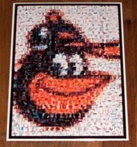 AMAZING Baltimore Orioles vintage bird logo Montage!!!