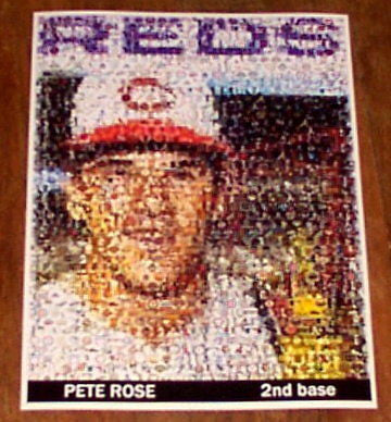 Amazing Cincinnati Reds Pete Rose Rookie Card Montage