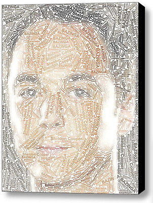 The Big Bang Theory Sheldo Cooper Bazinga Word Mosaic INCREDIBLE Framed 9X11 LE