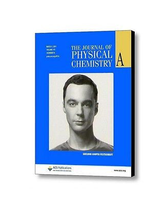 The Big Bang Theory Sheldon Cooper Journal of Physical Chemistry Frame –  Final Score Products