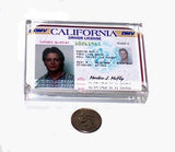 Back to the Future Marty McFly License Paperweight prop , Reproductions - n/a, Final Score Products
