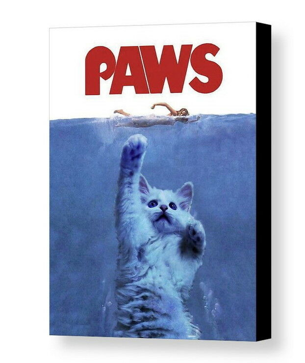 Framed JAWS Shark Horror Film Cat Kitten Parody. 8.5 X 11 Print