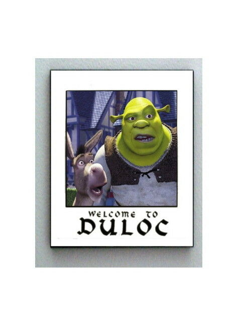 Framed 8.5X11 Shrek and Donkey Welcome To Duloc prop color print