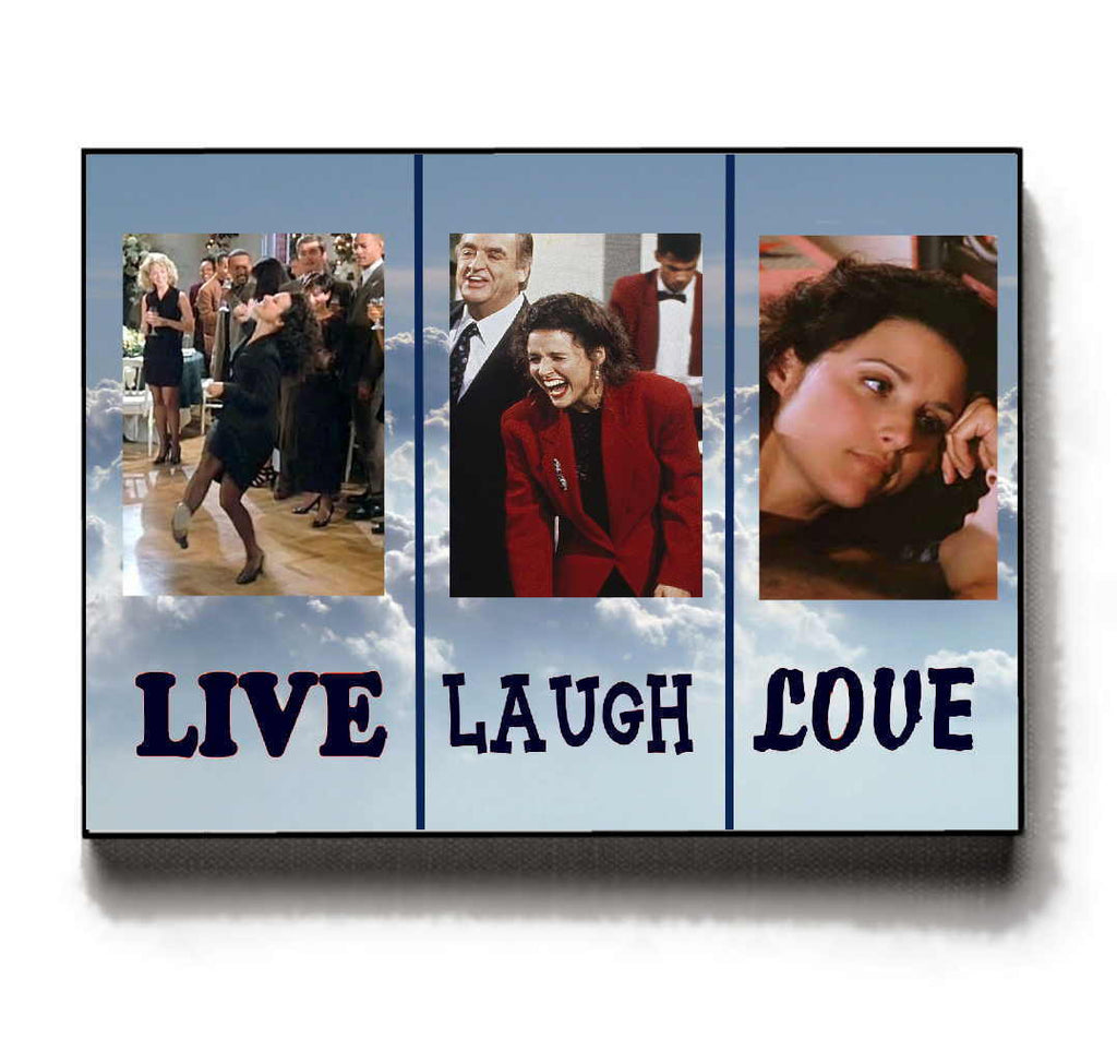 Framed Seinfeld Elaine Benes Dance Live Love Laugh Parody