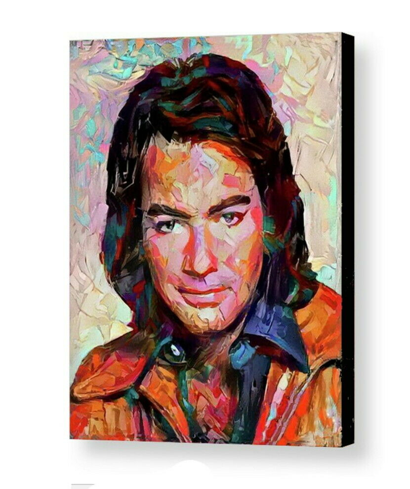 Framed Neil Diamond Abstract 8.5 X 11 Art Print Limited Edition w/signed COA