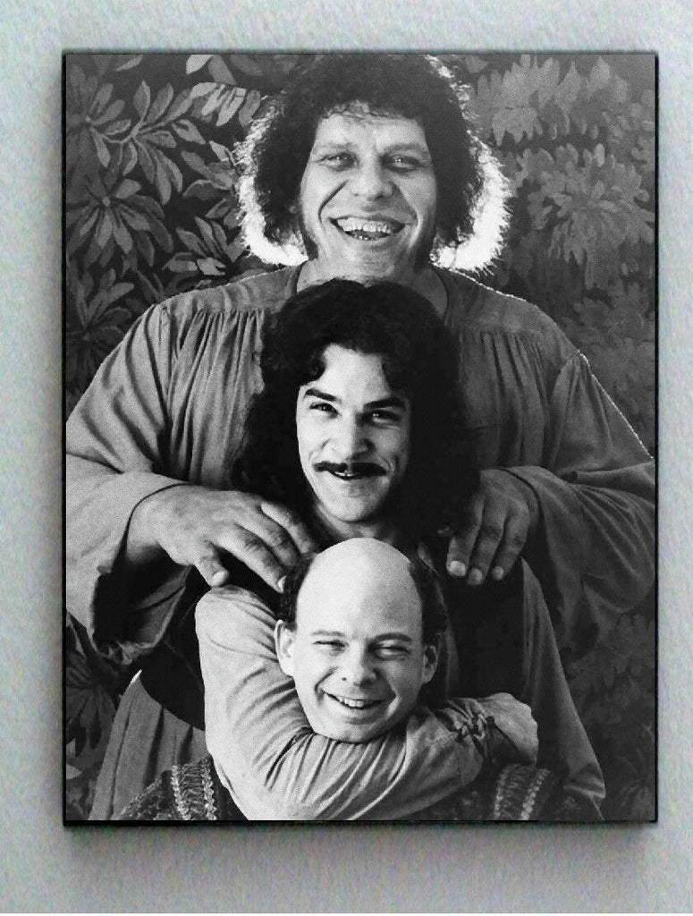 Rare Framed The Princess Bride Fezzik Vizzini Inigo Montoya Photo Giclée Print