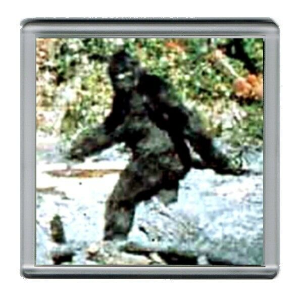 Bigfoot Yeti Sasquatch Coaster 4 X 4 inches