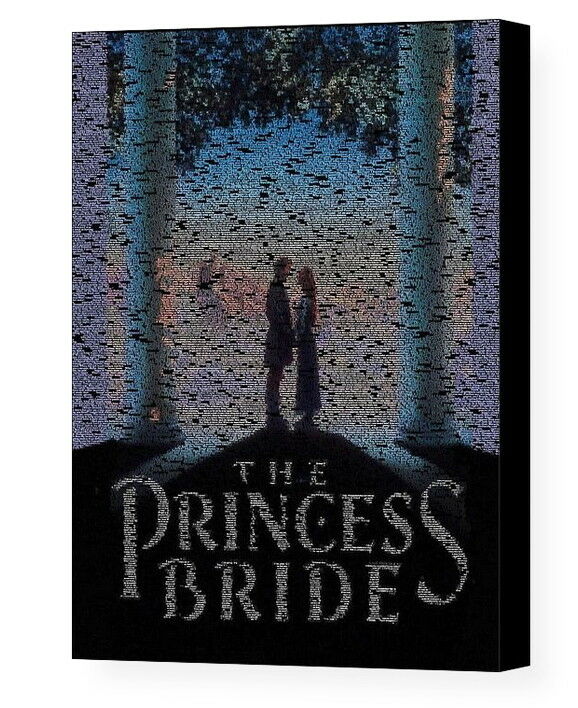 The Princess Bride script Mosaic AMAZING Framed 9X11 Limited Edition Art w/COA