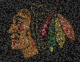 Incredible Chicago Blackhawks Hockey Puck mosaic print