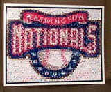 Amazing Washington Nationals Montage Limited Edition