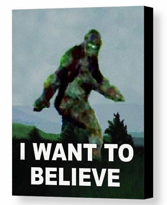 Framed X-Files Bigfoot Yeti Sasquatch I want to Believe Parody 8.5X11 UFO Print