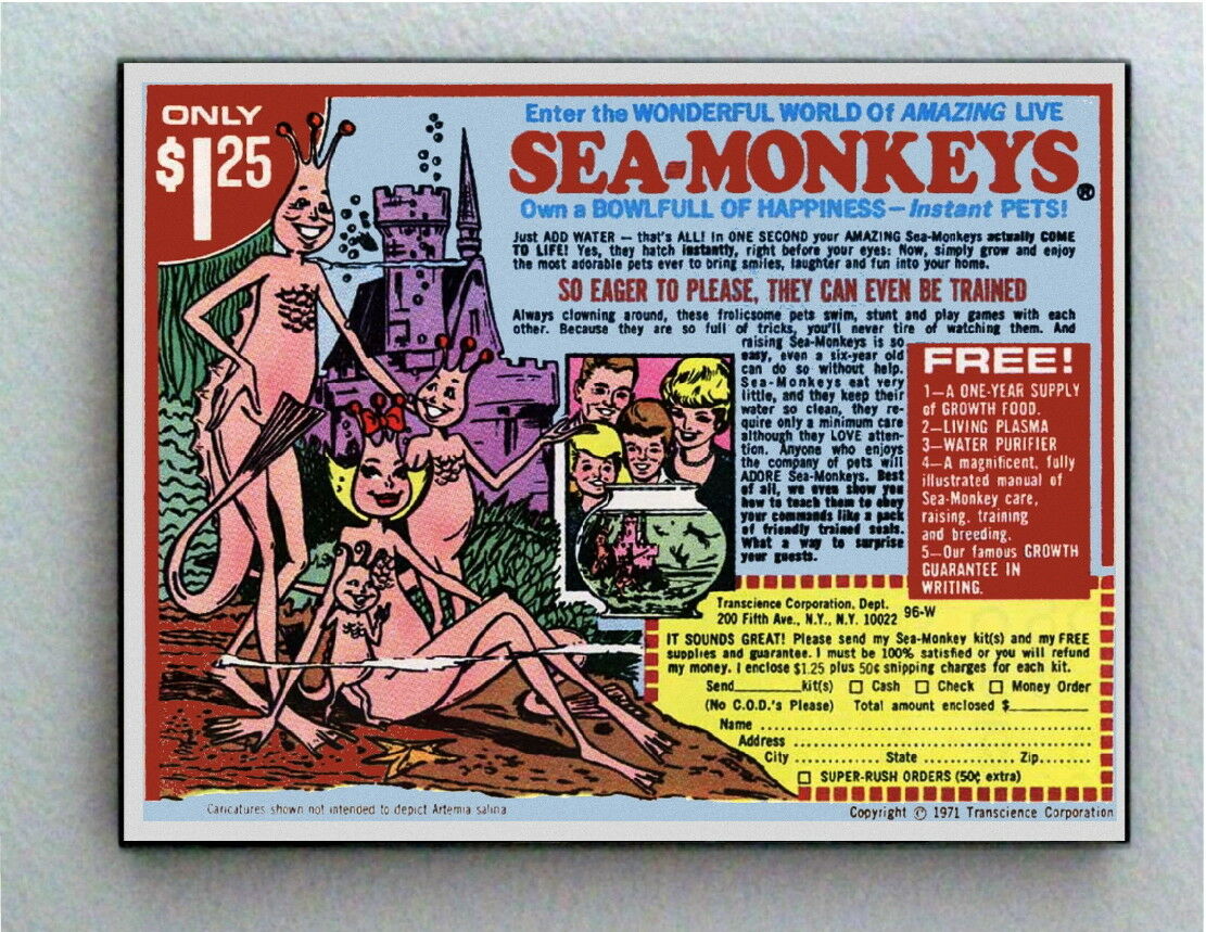 Framed FULL SIZE 1971 Sea Monkeys Toy Offer Vintage Restored Magazine Ad