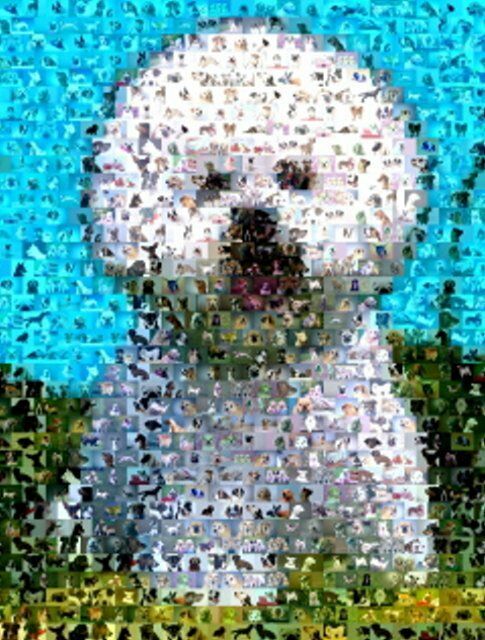 Amazing Bichon Frise Dog Montage LIMITED EDITION w/COA