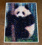 Amazing PANDA Bear Wild Animals Montage