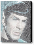 Star Trek Spock Kirk opening narration text Framed 9X11 Limited Edition Art COA